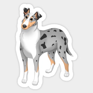 White, Blue Merle & Tan Smooth Collie Dog Sticker